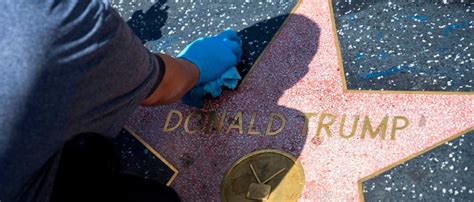 donald trumps walk  fame star vandalized  man   pickaxe turns