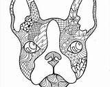 Coloring Bulldog French Pages Frenchie Printable Part Color Zentangle Getdrawings Line Drawing Dog Getcolorings Animals Template sketch template