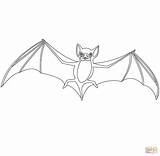 Nietoperz Fledermaus Morcego Ausmalbilder Asas Kolorowanki Kolorowanka Wydruku sketch template