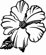 Blumen Hibiscus Malvorlage Ausmalen Clipartbest Educativeprintable sketch template