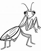 Mantis Coloring Praying Template Colouring sketch template