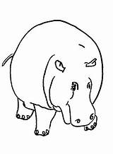 Hippos Kleurplaten Coloring Nijlpaard Zo Pages Fun Kids Kleurplaat sketch template