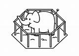 Elefante Kooi Jaula Olifant Gabbia Tudodesenhos Kleurplaten Educolor Schoolplaten sketch template