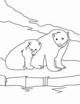 Polar Bear Coloring Pages Ice Printable Coloring4free Two Snow Kids Baby Colouring sketch template
