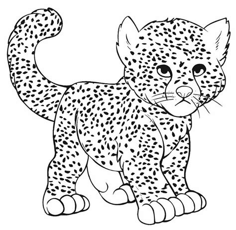 cheetah coloring pages  worksheets