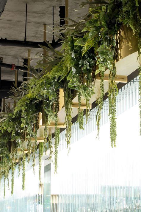 How To Hang Plants From Ceiling And Walls A Nest With A Yard