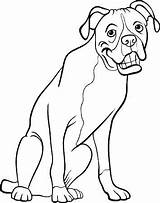 Boxer Dog Coloring Cartoon Pages Book Illustration Vector Wall Funny Clipart Color Drawings Face Drawing Getcolorings Mural Purebred Print Line sketch template