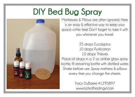 diy bed bug spray  essential oils pestcontrolpestcontrolservices