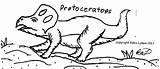 Protoceratops Coloring Pages Dinosaurs Robin Great Ceratopsian sketch template