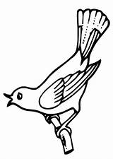 Coloring Singing Bird sketch template