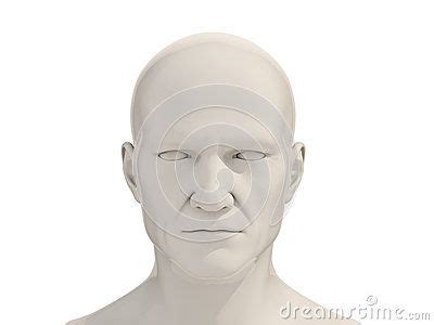 human head frontal view isolated   white background human head human image