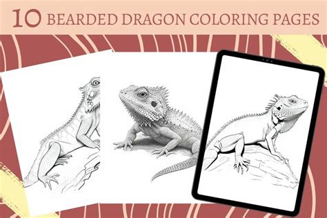 bearded dragon coloring page animal illustrations
