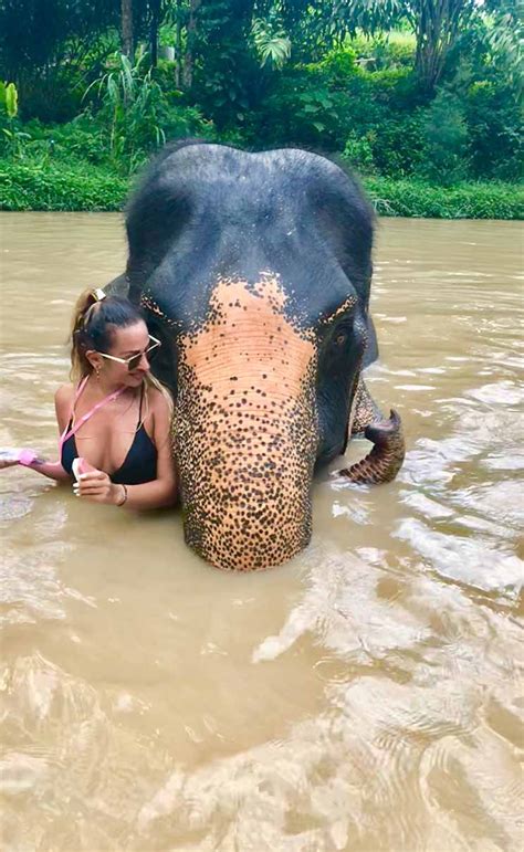 ethics and elephants visiting an elephant sanctuary in phuket thailand