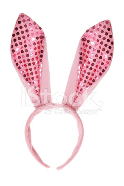 easter bunny ears stock photo royalty  freeimages