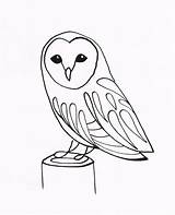 Owl Drawing Barn Drawings Simple Line Sketch Coloring Owls Tattoo Basic Face Pages Animals Ink Pen Clipart Dip Template Cute sketch template