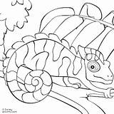 Coloring Pages Chameleon Camouflage Python Ball Reptiles Print Kids Sheets Mixed Chameleons Reptile Getcolorings Clip Leo Lionni Animal Color Clipart sketch template