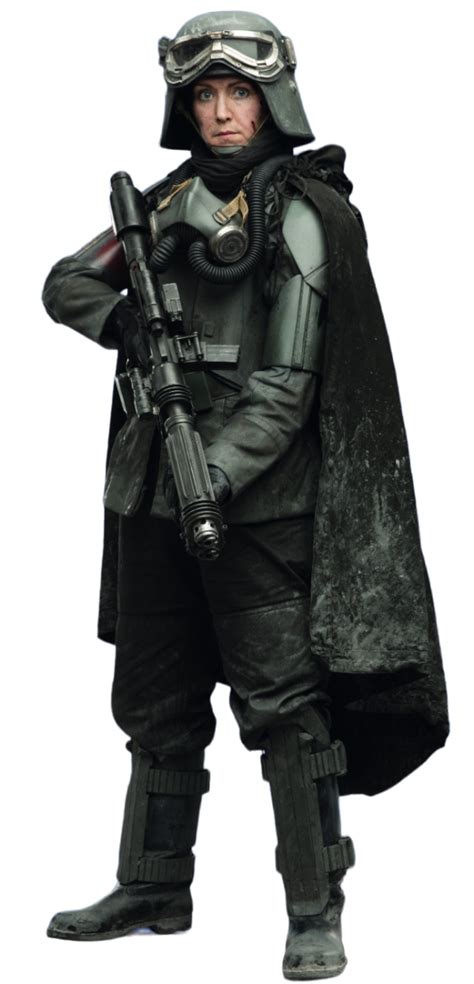 imperial army trooper wookieepedia fandom