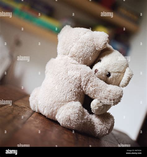 Teddy Bären Umarmen Auf Tisch Stockfoto Bild 5436377 Alamy