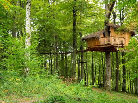 cabane el sueno larbre  cabane cabane dans les arbres en