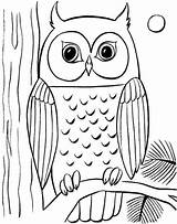 Owl Drawing Kids Coloring Pages Draw Easy Owls Step Drawings Simple Printable Getdrawings Colorful Lessons Print Six Animal Toplowridersites Adult sketch template