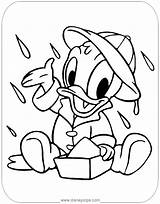 Baby Donald Coloring Pages Disneyclips Disney Rain Daisy Printable Babies sketch template