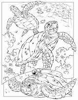 Coloring Pages Kids Sea Animals Ocean Printable Popular sketch template
