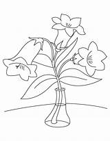 Bellflower Ausdrucken Bestcoloringpages Blumen Glockenblume sketch template