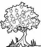 Pohon Mewarnai Jeruk Nipis Pommier Coloriages Sketsa Coloriage Tanaman Buah Inilah Clipartmag Clipground sketch template