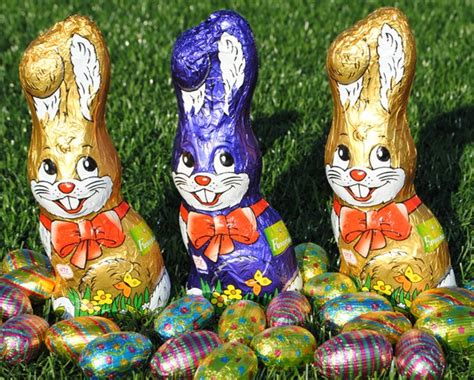 sale  chocolate easter bunnies action  schools