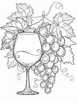 Coloring Book Wine Alcohol Cocktails sketch template