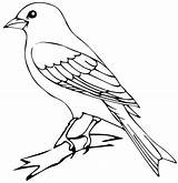 Canary Bird Categories Coloring sketch template