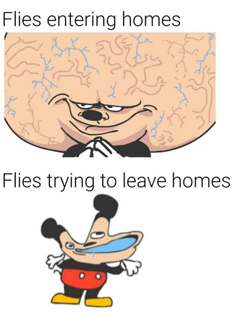 25 Big Brain Meme Mickey Mouse