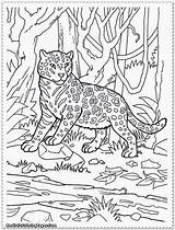 Jungle Coloring Pages Animal Scene Realistic Animals Color Printable Kids Print Clip Safari Library Clipart Getcolorings Children Popular sketch template
