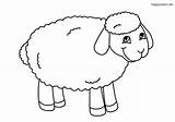 Schaf Malvorlage Einfaches Lamb Lachendes Ausmalbilder Schafe Lamm Colomio Calf sketch template