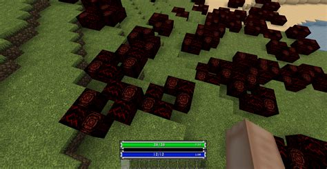 worldedit schematics  custom blocks modder support minecraft forge