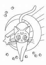 Desenhos Coloriage Colorir Book1 Gato Sailormoon Katze Gatos Gatito Moons Pokemon Coloriages Malvorlage Ausmalbild Sailoor Lua Fofos Coloringareas Drucken Imprimer sketch template