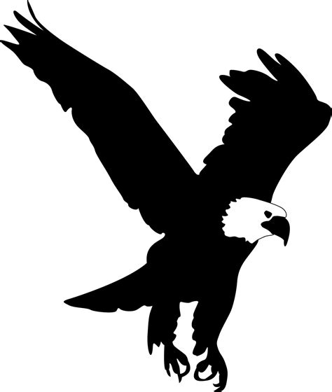 bald eagle silhouette images   finder