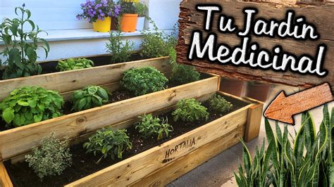 Plantas Medicinales Guia De Jardineria Guía De Jardinería