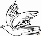 Fliegende Taube Ausmalbild Kolorowanki Gołąb Ptaki Gołębie Gołębia Pigeon Druku Tauben Coloring Lecący Obrazek sketch template