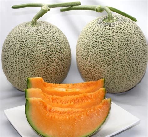 sweetvegetablefactory hokkaido furano produced the finest red meat melon furano melon ） 2 l 2