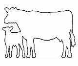 Cow Outline Calf Clipart Drawing Beef Dairy Line Clip Farm Silhouette Cliparts Animal Outlines Show Cows Cattle Showing Pattern Library sketch template