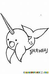 Coloring Narwhal Everfreecoloring Grown Difficult Ups sketch template
