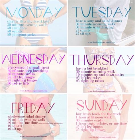 Workout Daily Workout Plan Workout Plan Weekly Workout