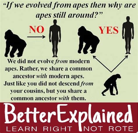 pin by jennifer cottrell on human evolution this or that questions