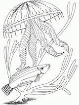 Coloring Ocean Pages Printable Kids Adults Print Animals Underwater Scene Adult Jellyfish Fish Primarygames Sea Color Colouring Under Detailed Animal sketch template