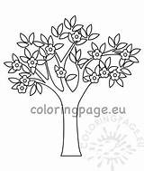 Tree Flowers Spring Template Coloring Coloringpage Eu sketch template
