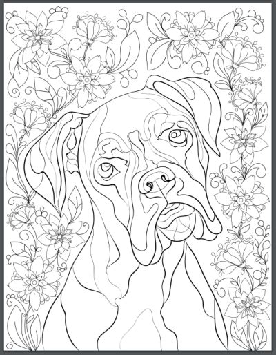 adult coloring pages boxer dogs coloring pages