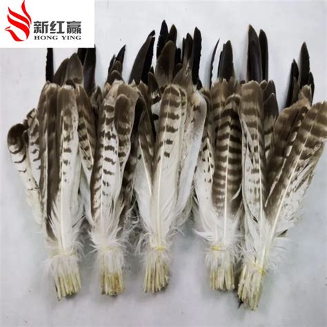 buy wholesale eagle feathers  china eagle feathers wholesalers