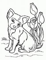 Coloring Pages Huskies Husky Popular sketch template