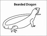Dragon Bearded Coloring Pages Color Animalstown Printable Animals Designlooter Via Drawings 63kb 502px sketch template